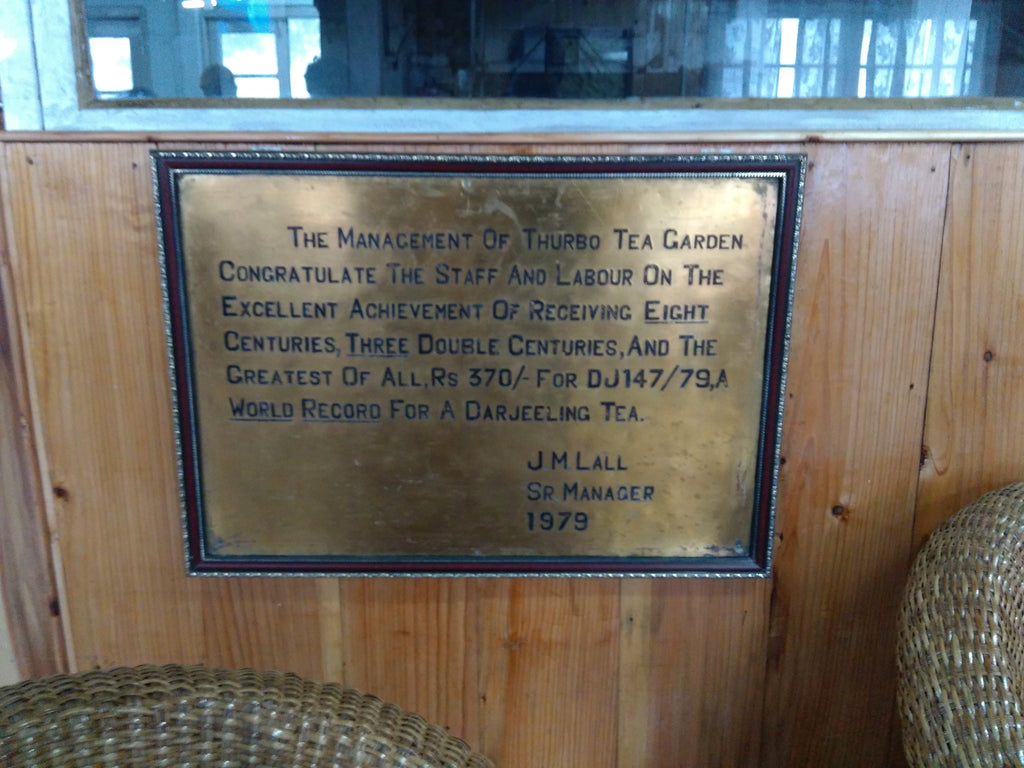 Thurbo Tea Estate - Produces some of the best Darjeeling Tea