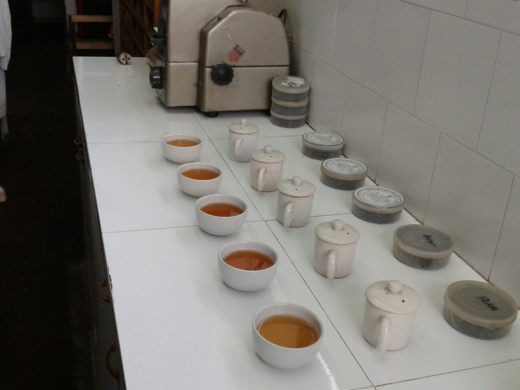 What does Darjeeling Tea taste like?