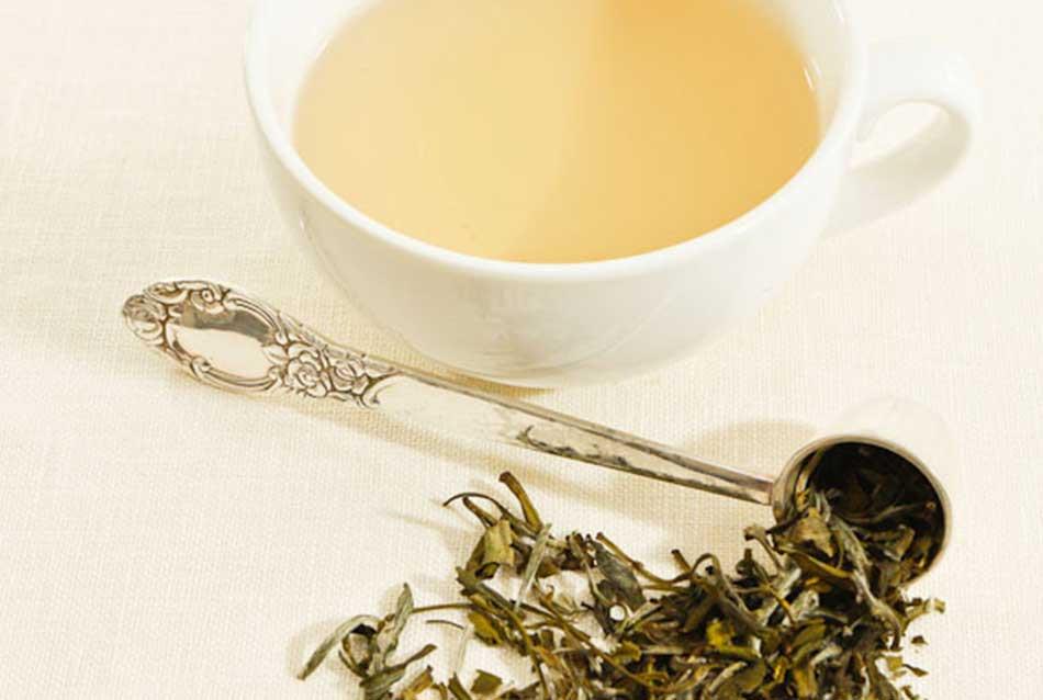 Moonlight White Tea - Goodricke's Thurbo & Castleton Moonlight Tea at its best