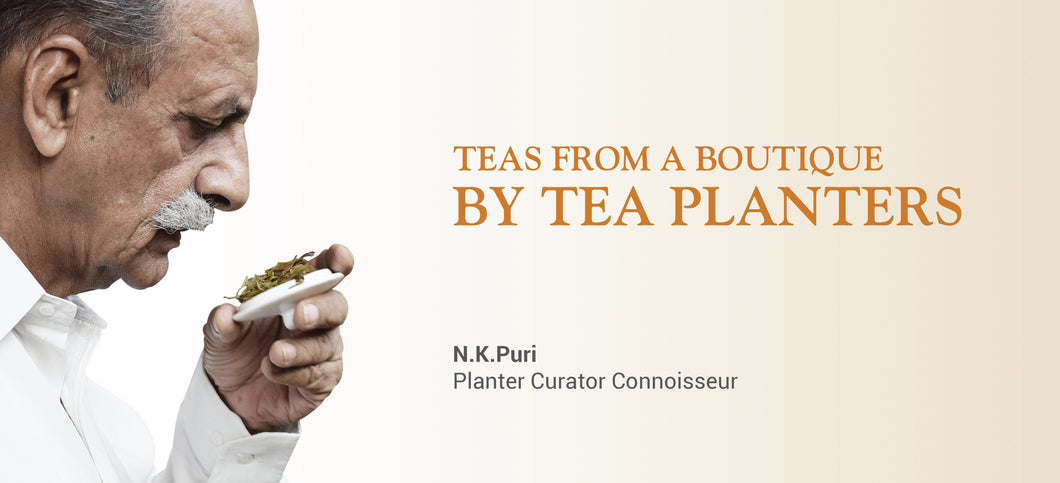 Tea Cups Full Tea Master, Tea Taster, Master Blender