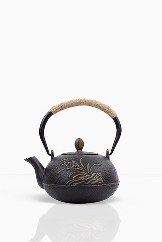 Teacupsfull Cast Iron Teapot
