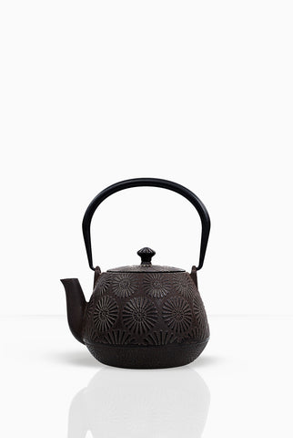 Buy Teapot, Designer Teapot, Cast Iron Teapot, Tetsubin Teapot, Buy Teapot online at Teacupsfull; Buy Iron Teapot with infuser